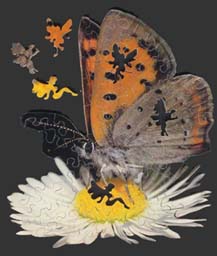 Wooden Jigsaw Puzzle Photo of American Copper Butterfly